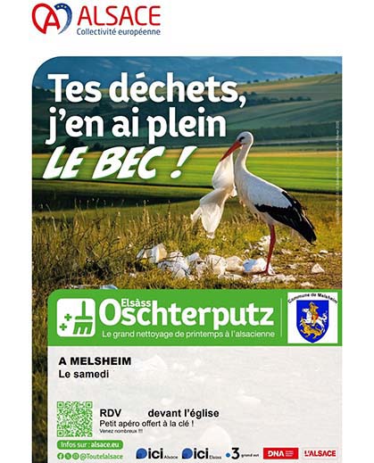 Cigogne avec un sac plastique dans le bec