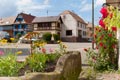 Les fleurs du centre du village